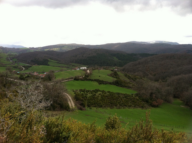 The Hills of Navarra