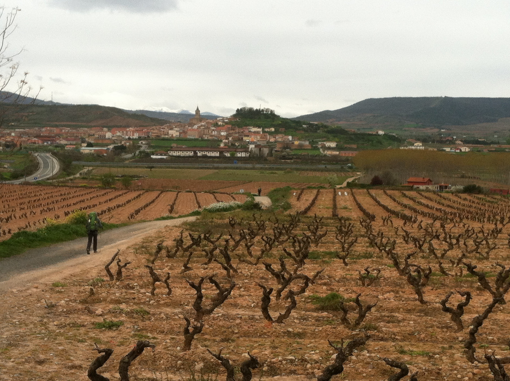 Approaching Navarrete: La Rioja in a Nutshell