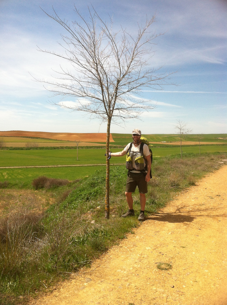 Eamon calculated that he was about halfway through his Camino. He decided that this small tree marked the centre point between Saint-Jean-Pied-de-Port and Santiago de Compolstela.