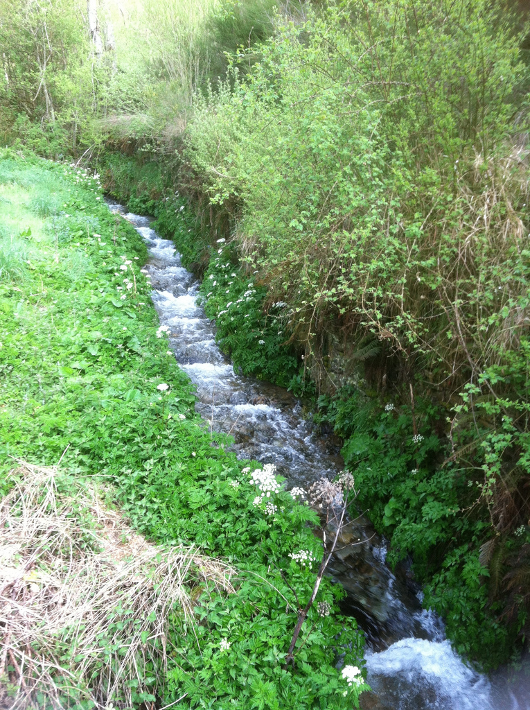 13979957876_743c126e94_b