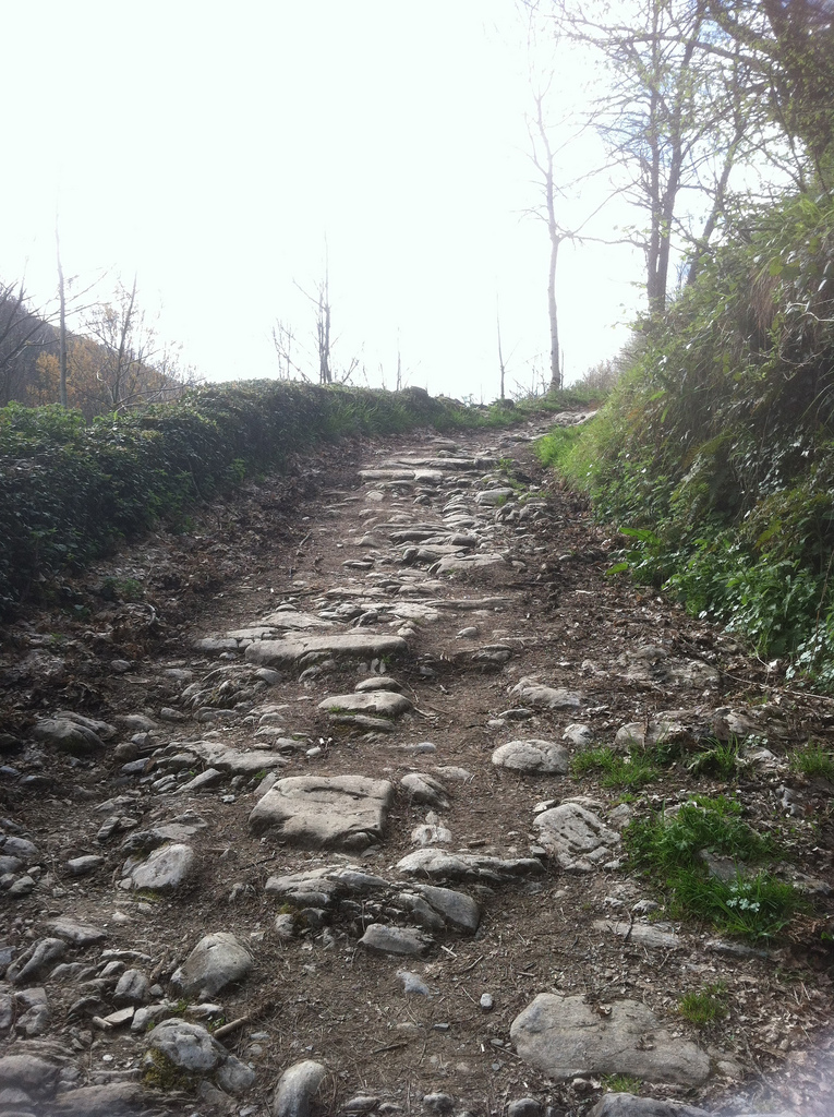 14003503874_2e186c06d8_b