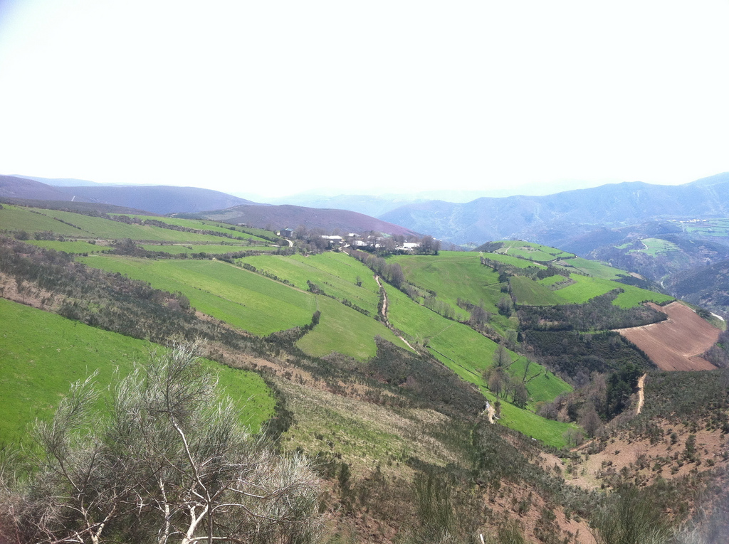 Climbing to O’Cebreiro