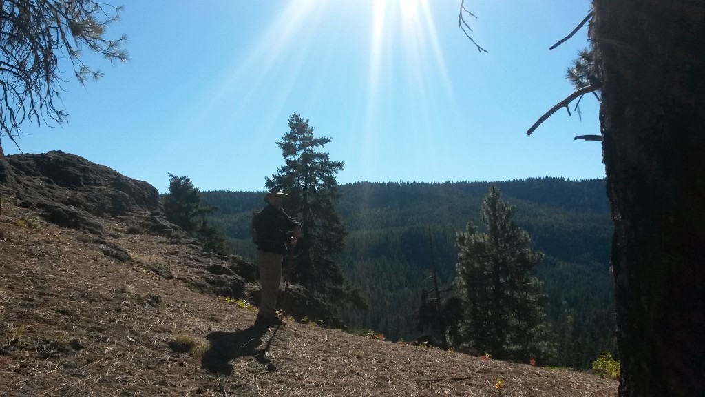 On the Ridge, American River
